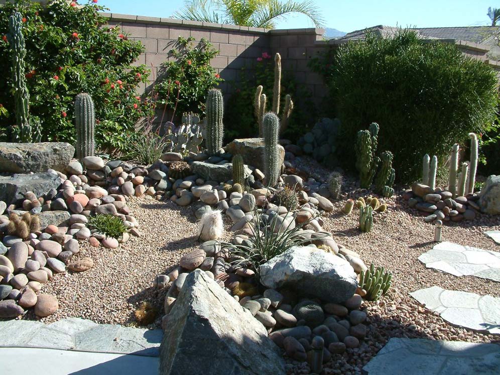 River Rock and Cacti