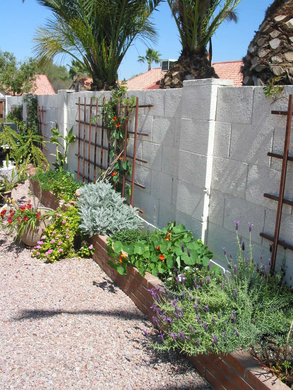 Raised Bed along the Back Wall