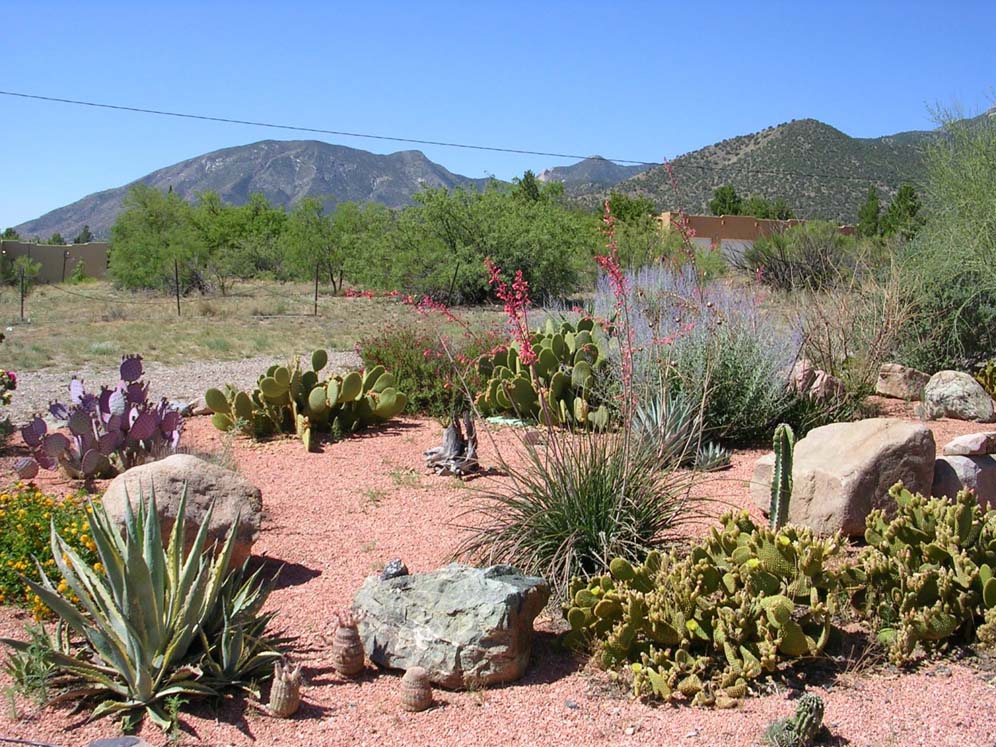 Sierra Vista Desert Garden