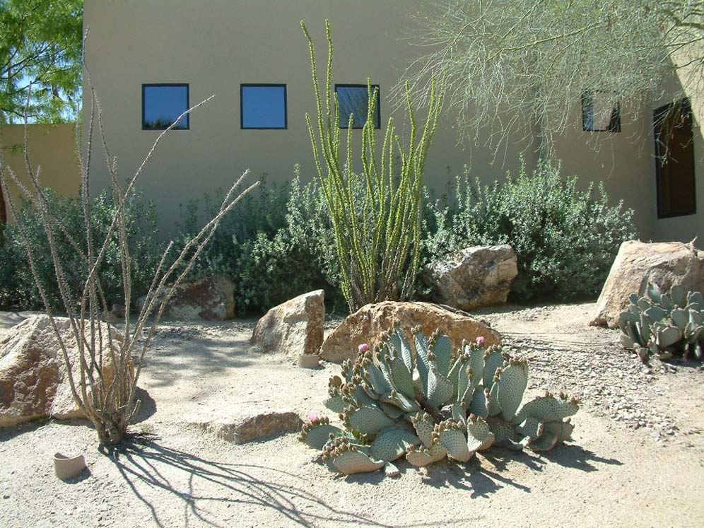 Desert Plantings