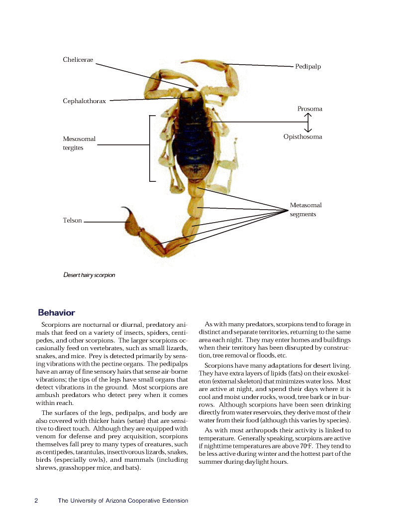 Scorpions02