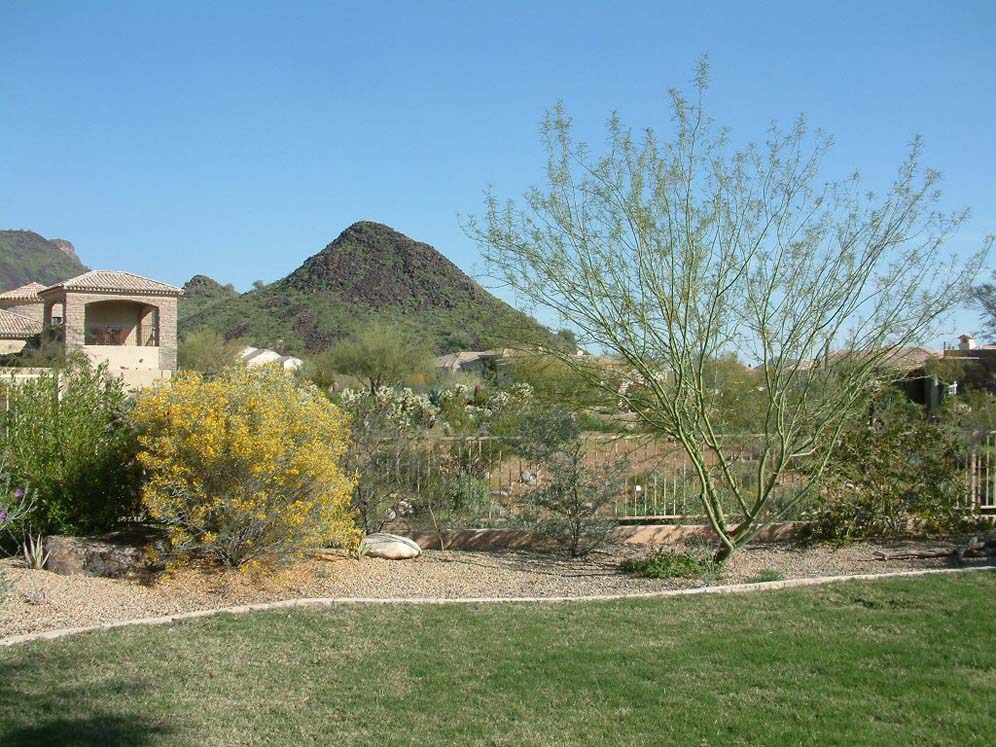 View of Mountain from Grass