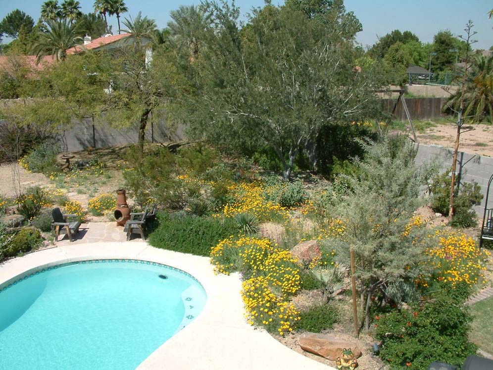 Inviting Pool and Garden