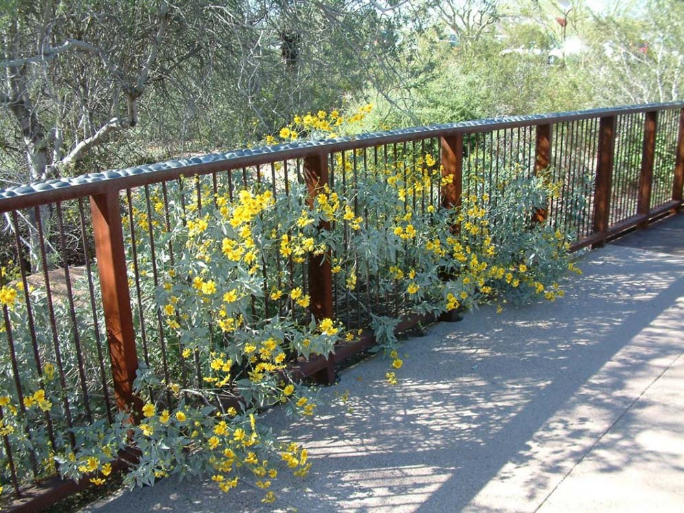 Desert Botanical Garden Entry Fence