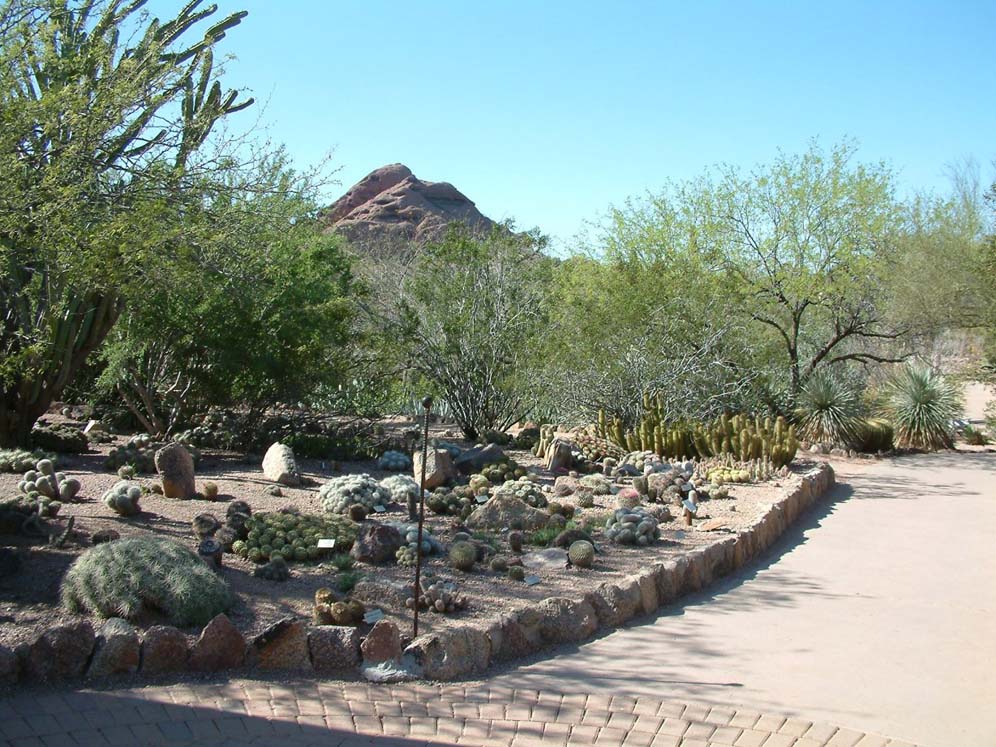 Mountain in Horizon