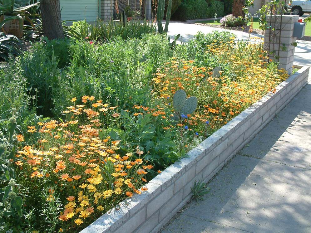 Low Brick Retaining Wall