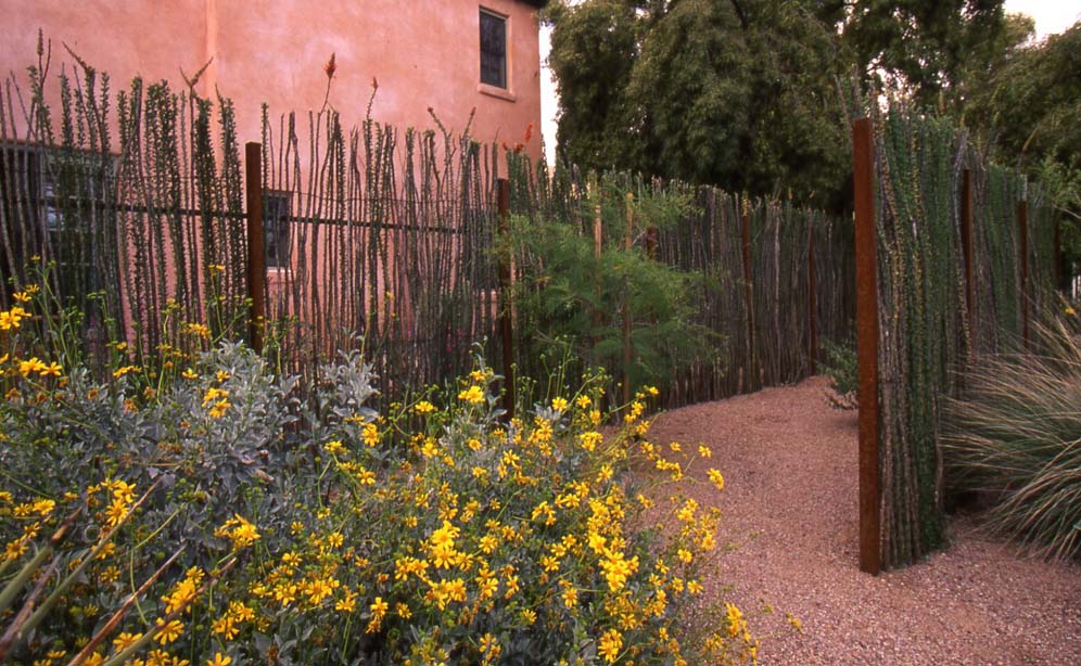 Ocotillo Fences