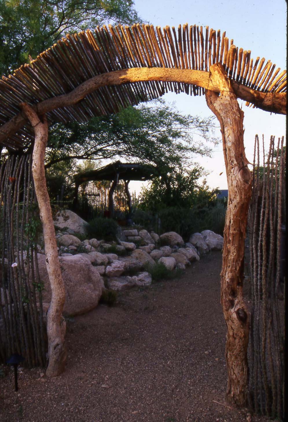 Rustic Arizona Trellis