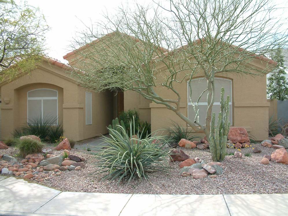 Open-Density Tree and Garden