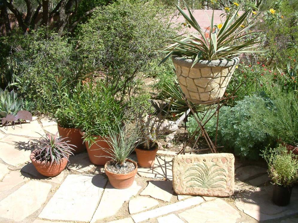 Grouping of Garden Pots