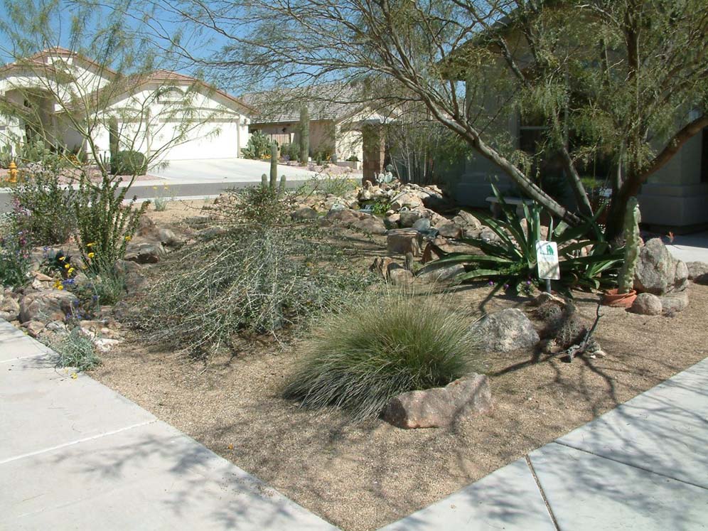 Front Yard with Hidden Pond