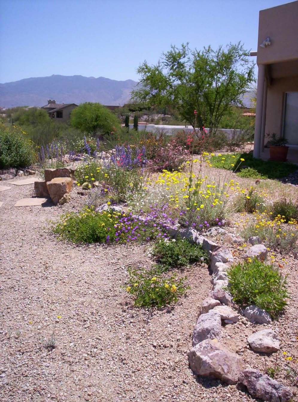 Rock Garden With Color