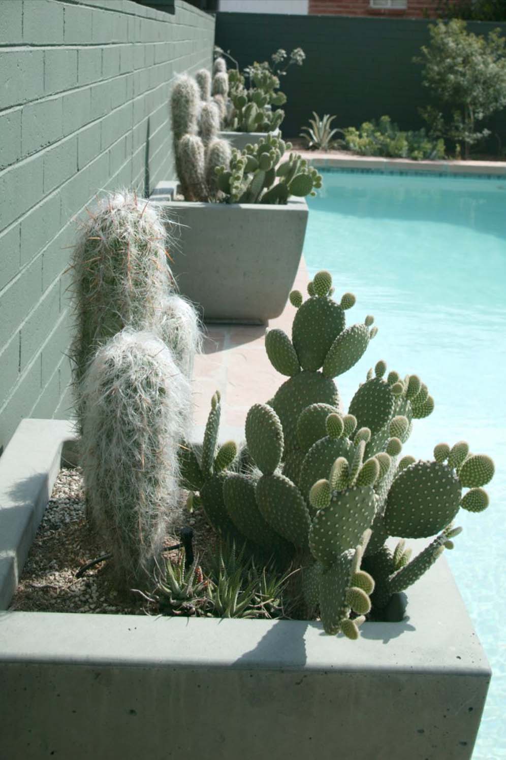 By the Pool in  Containers