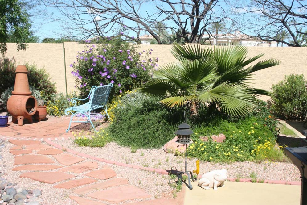 Fire Pit Area in Back Yard