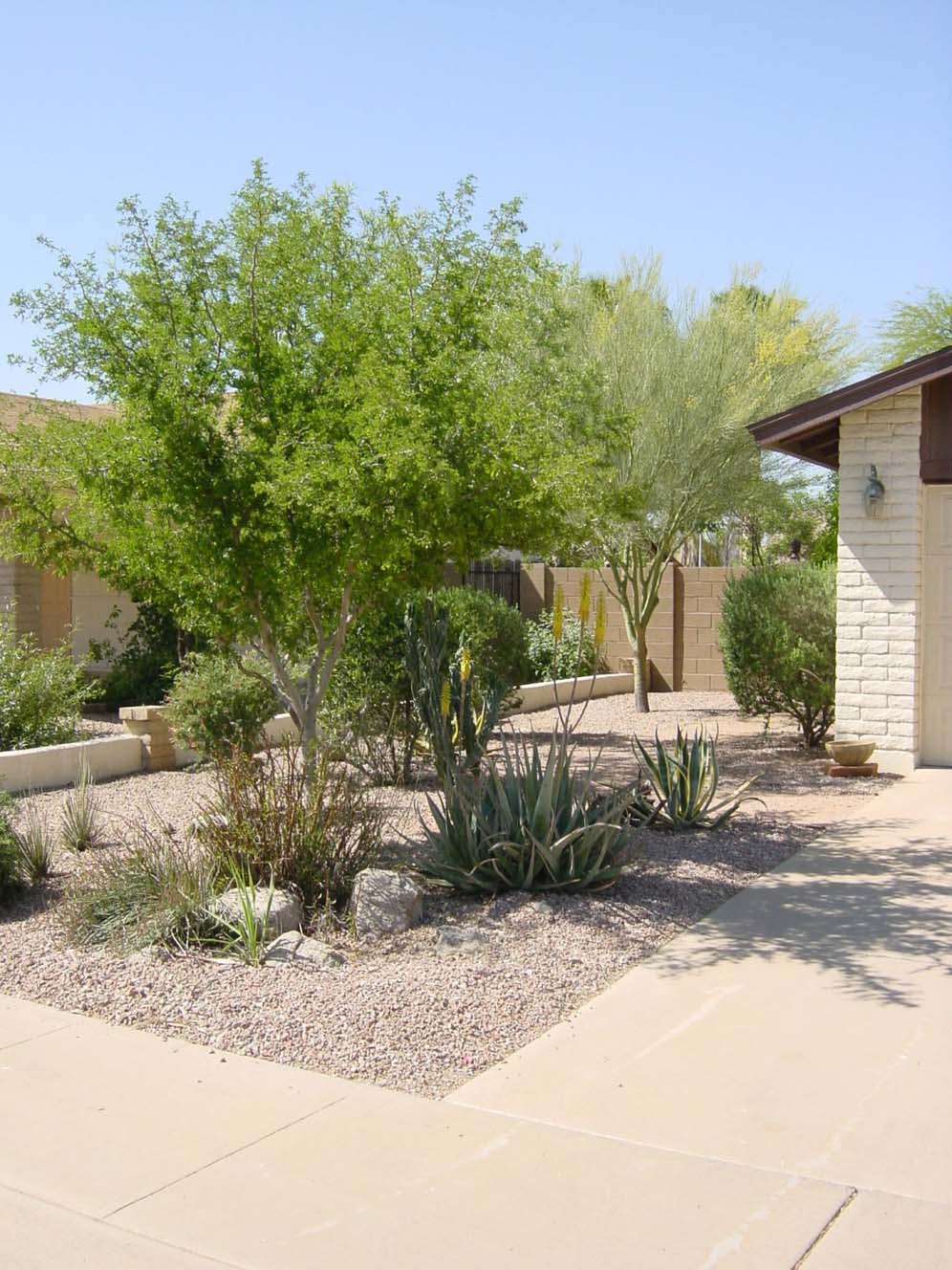 Xeriscape Small Side Yard