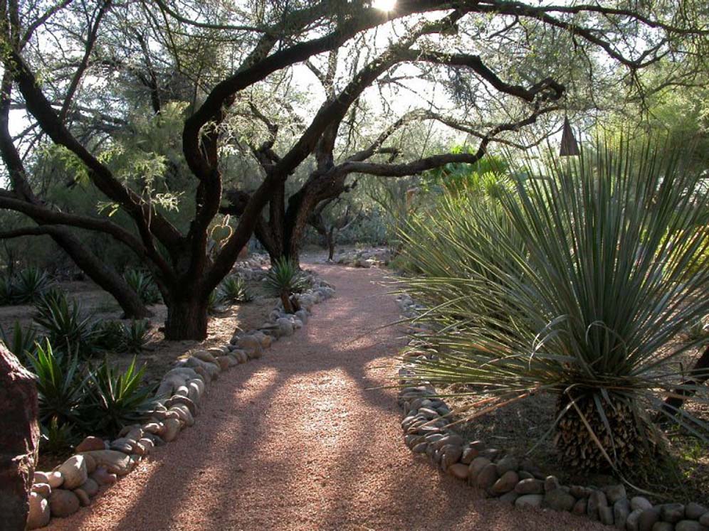 Shaded Walk Grace