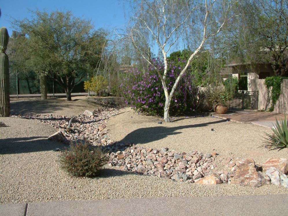 Wandering Dry Creek Bed