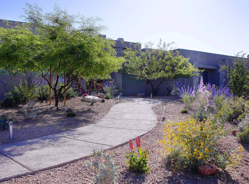 Curving Path in Tucson