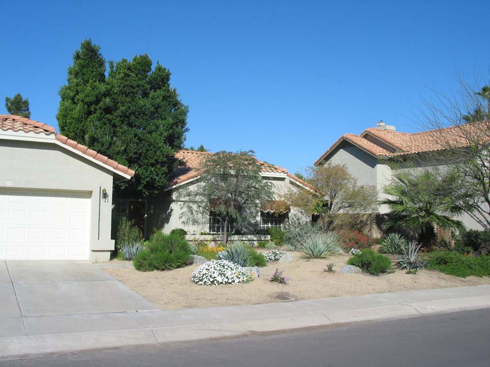 Front Yard View