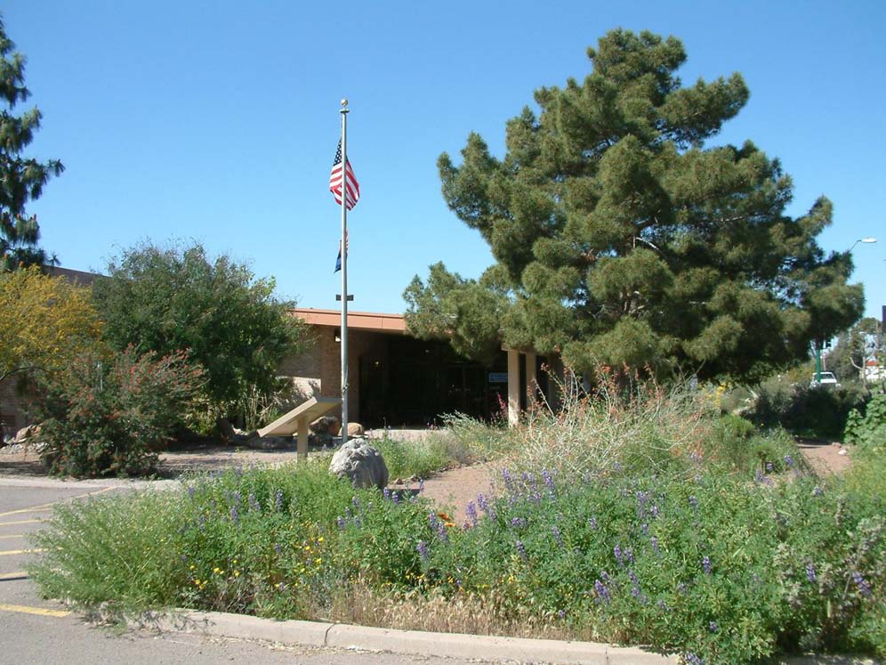 Wildflower Entry