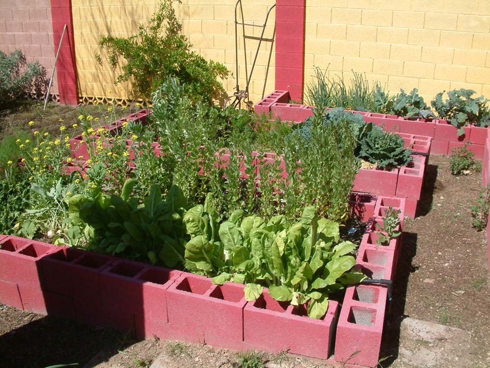 Red Bordered Veggies