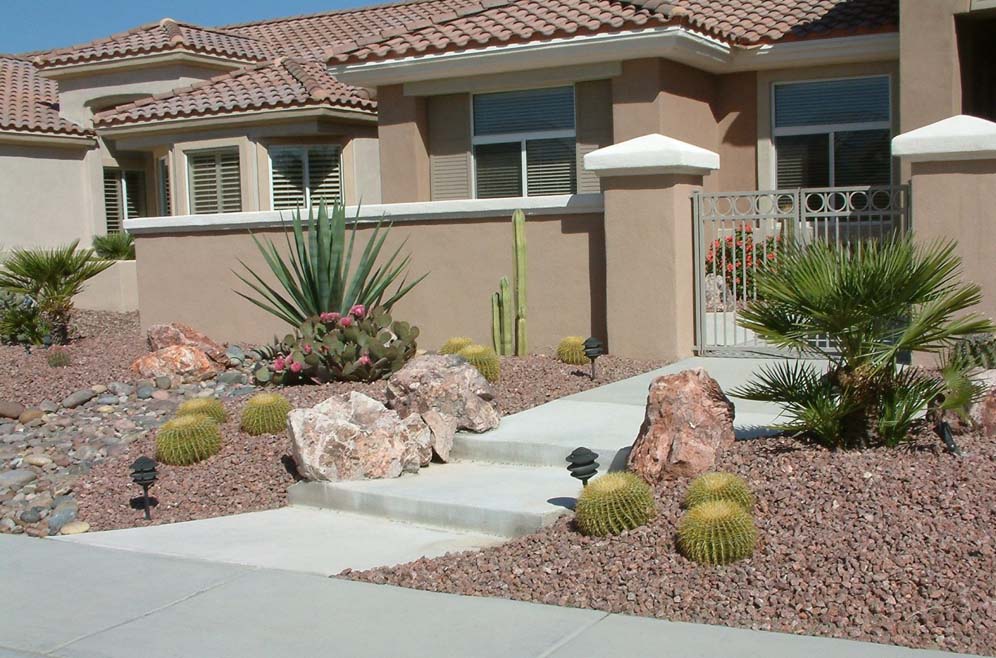 Barrel Cactus and Companions