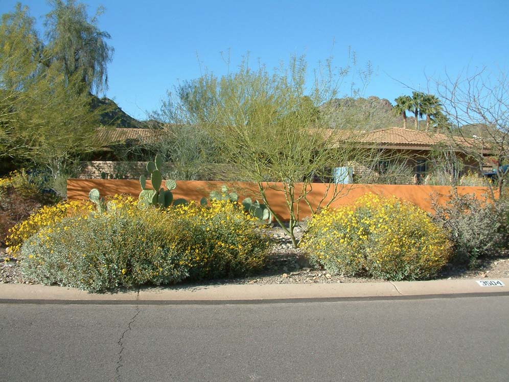 Privacy Wall and Street Plantings II