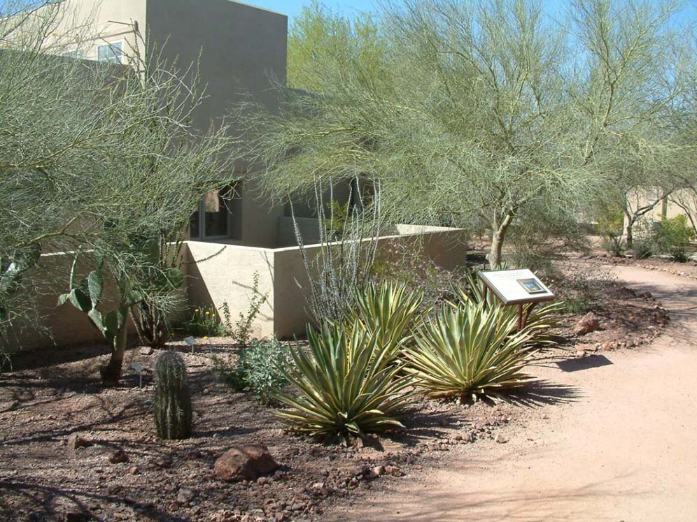 Desert Garden