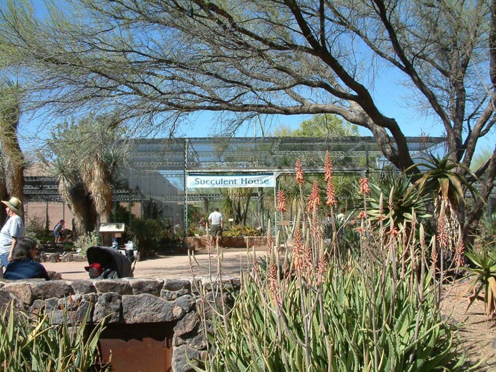 Aloe and Visitors