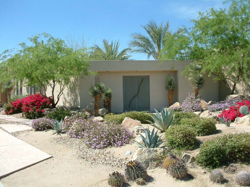 Desert Entryway Garden