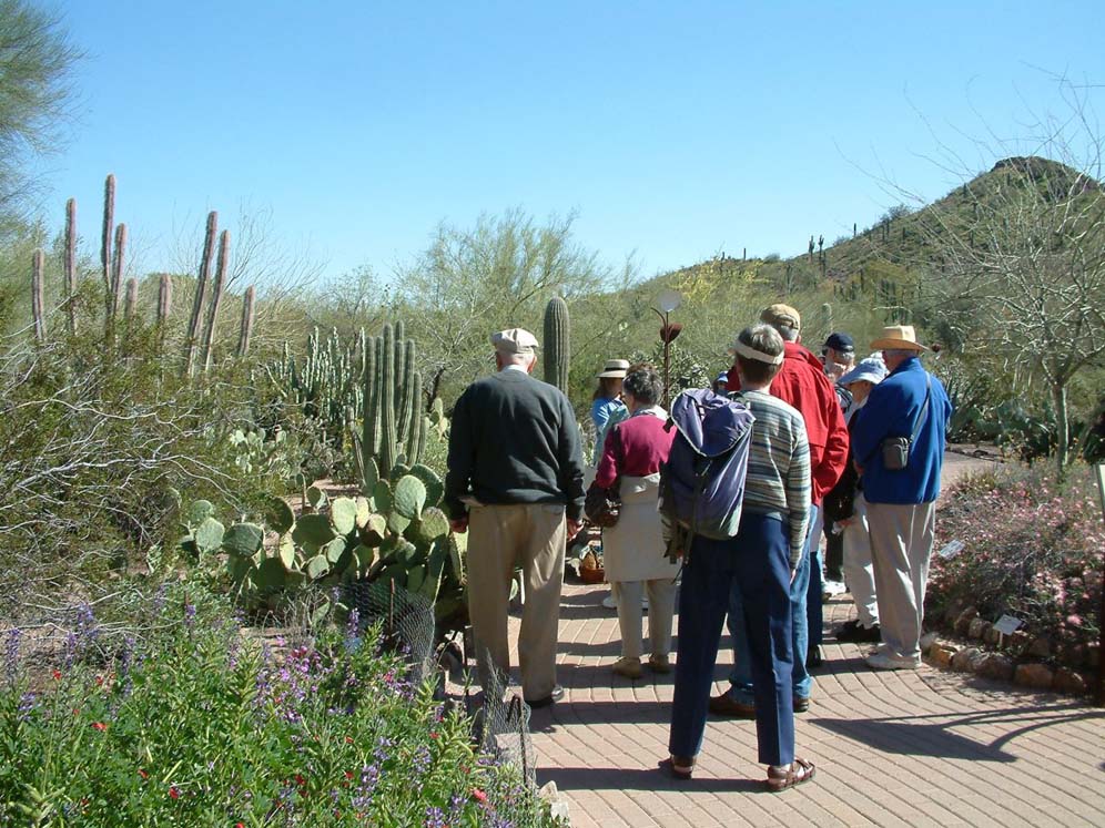 Visitors at the Desert Botanical Garden