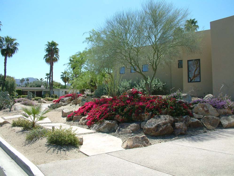 Bouganvillea Beds