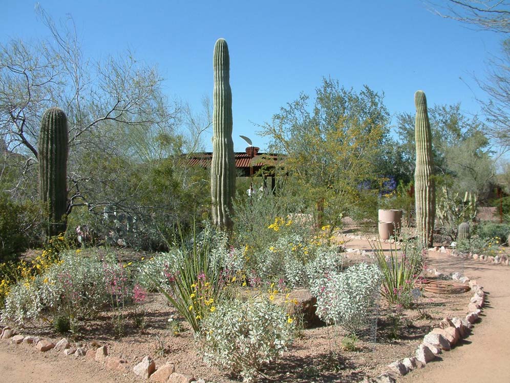 Path Through the Natives