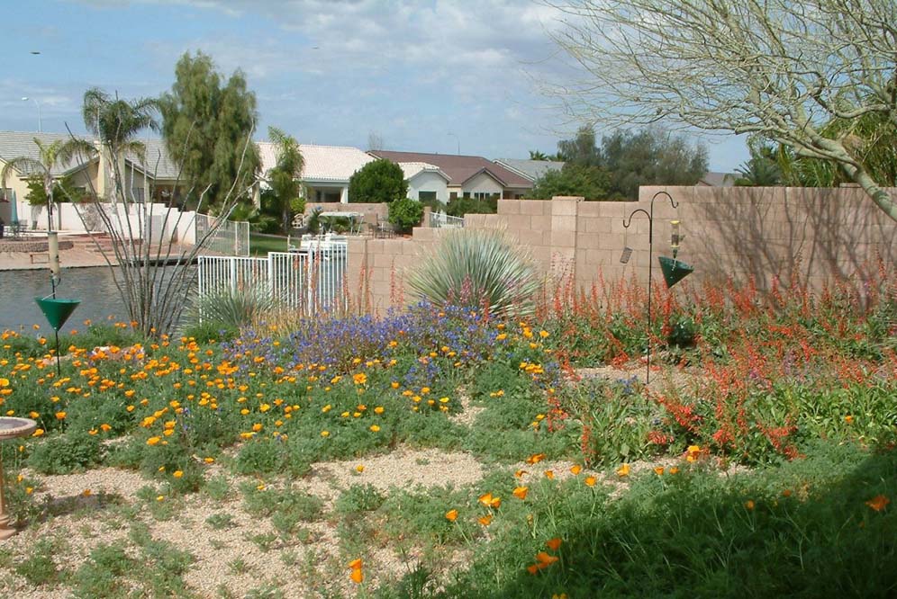 Many Colors in the Garden